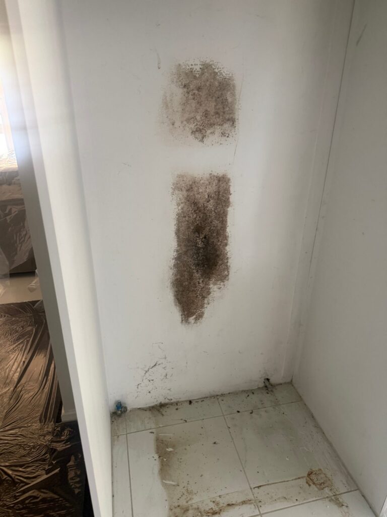 Visible mould growth on an internal wall beside the kitchen in a Lake Munmorah home